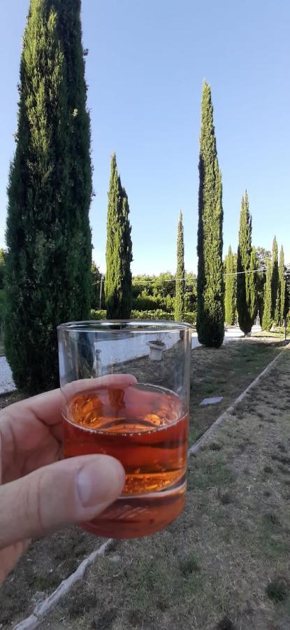 B&B Agriturismo Regno Di Toscana Collesalvetti Dış mekan fotoğraf