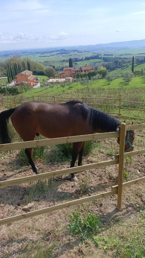 B&B Agriturismo Regno Di Toscana Collesalvetti Dış mekan fotoğraf